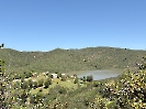 IMG_0667