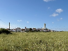 IMG_0910
